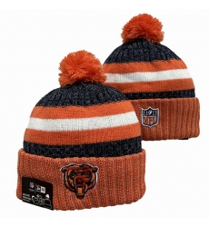 Chicago Bears Beanies 003